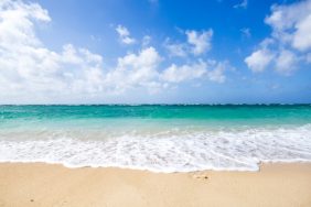 海
