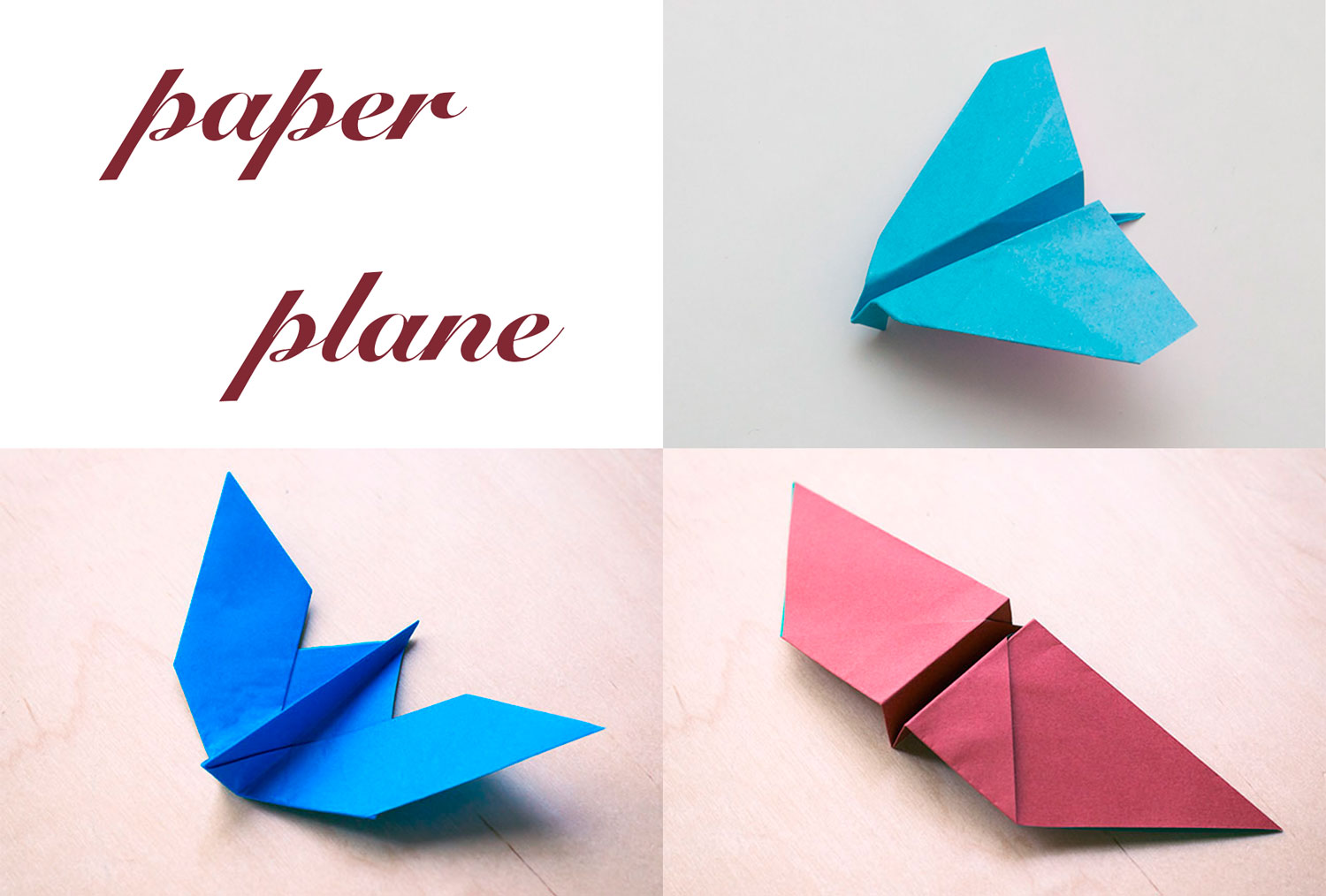 紙飛行機の折り方 鳥や虫の形の変わり種かみひこうき４選